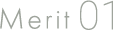 Merit01