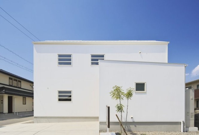 白の輪郭、都市に映える